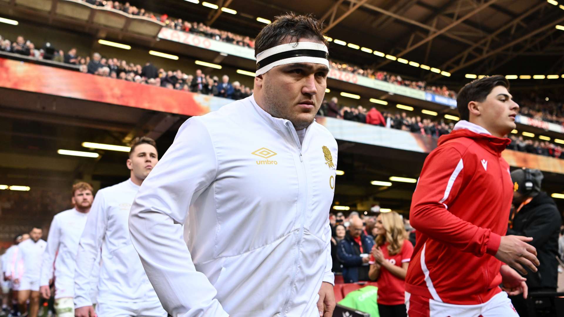 球迷和專家 球迷和專家