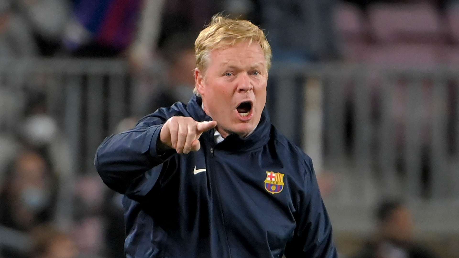 布雷迪用实 布雷迪用实